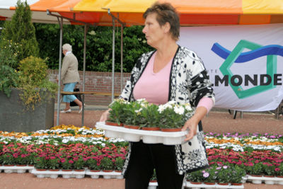 Foto 43 uit OpzoomerenPlantjes