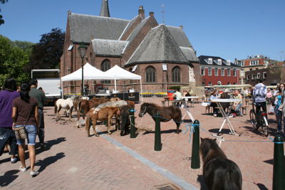 Foto 13 uit Paardenmarkt24-6