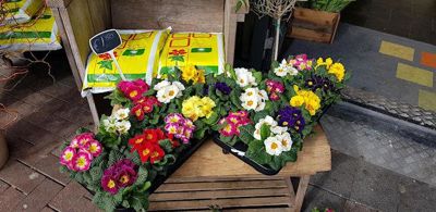 Foto 3 uit CoronaMededelingen