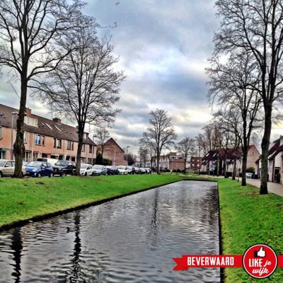 Foto 384 uit LIKEJEWIJK FOTO'S_2