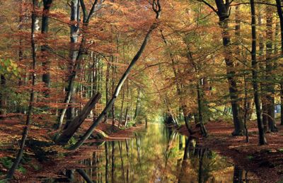 Foto 8 uit StratenBEVERWAARD