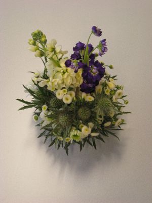 Foto 64 uit susannadijk vestia07