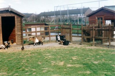 Foto 16 uit BouwStormpolder87