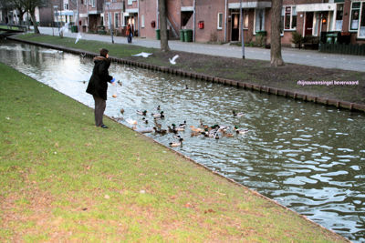 Foto 203 uit StratenBEVERWAARD