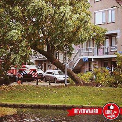 Foto 288 uit LIKEJEWIJK FOTO'S