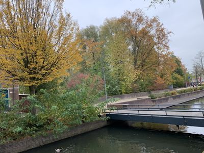 Foto 15 uit X-Herfst Verschillende jaren  2026