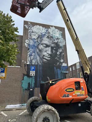 Foto 70 uit All Caps Muurschilderingen Beverwaard 2026