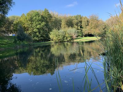 Foto 251 uit Rondje Beverwaard 2026