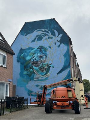 Foto 72 uit All Caps Muurschilderingen Beverwaard 2026