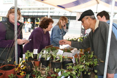 Foto 8 uit PlantenRuilBeurs24_4