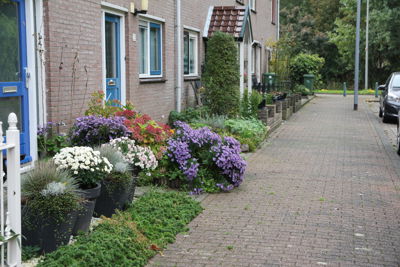 Foto 197 uit Herfst In Beverwaard