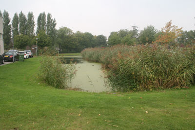 Foto 350 uit StratenBEVERWAARD