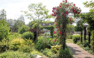 Foto 181 uit TropischeTuin 2017