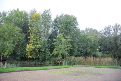 Foto 96 uit Herfst In Beverwaard