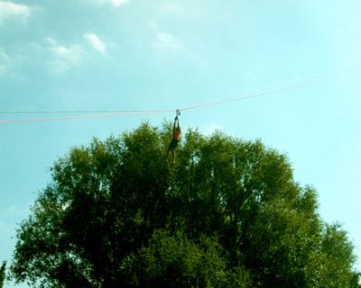 Foto 33 uit Terrible Eventsday07