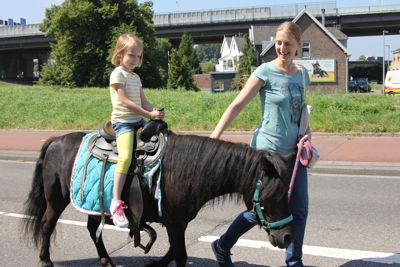 Foto 40 uit Paardenmarkt 2018