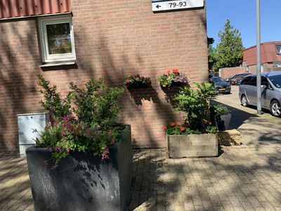 Foto 279 uit StratenBEVERWAARD