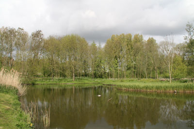 Foto 22 uit ParkenInBeverwaard