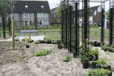 Foto 2 uit Tropische Buurttuin