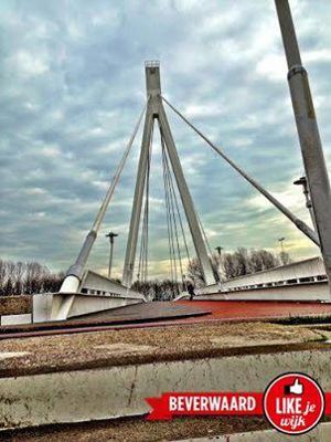 Foto 192 uit LIKEJEWIJK FOTO'S_2