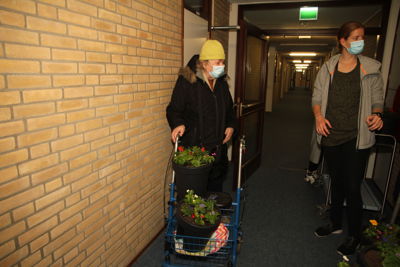 Foto 30 uit Plantjes Ijselburgh