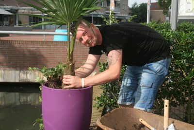 Foto 60 uit HippePlantenBakken