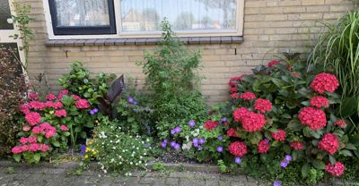 Foto 342 uit Rondje Beverwaard 2026