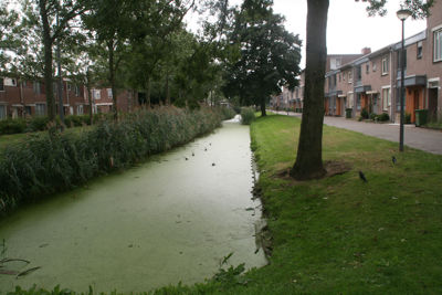 Foto 561 uit StratenBEVERWAARD