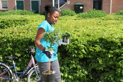 Foto 33 uit Schoonmaakdag20_4_11