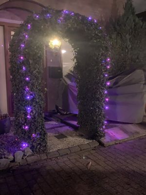 Foto 57 uit Kerst In Beverwaard