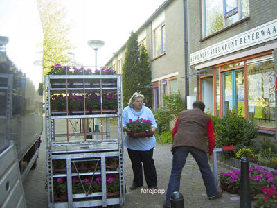 Foto 24 uit opzomeren 2005