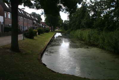 Foto 555 uit StratenBEVERWAARD