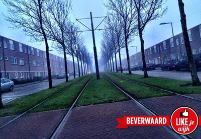 Foto 207 uit LIKEJEWIJK FOTO'S_3