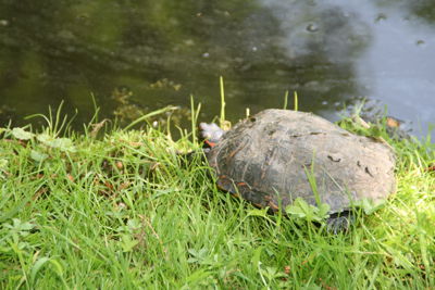 Foto 104 uit Bruiloft-Beverwaard