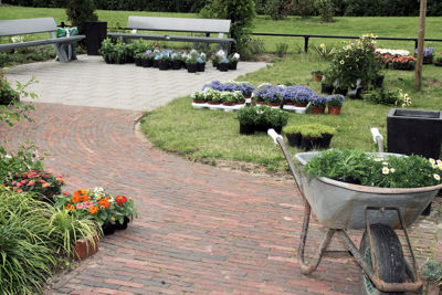 Foto 38 uit TropischeTuin16_07