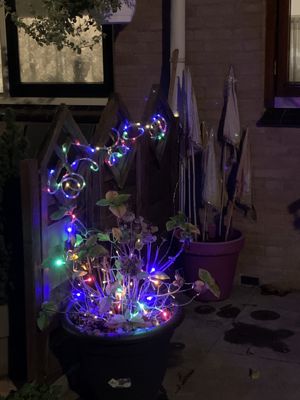 Foto 42 uit Kerst2020Beverwaard