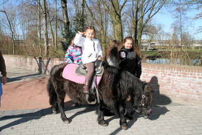 Foto 8 uit VoorjaarsMarkt19_3