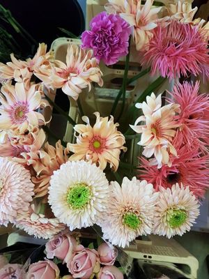 Foto 114 uit NeelyshaBloemen