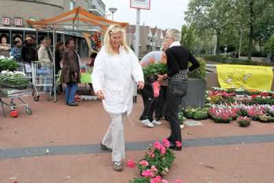 Foto 115 uit OpzoomerenPlantjes