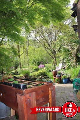 Foto 14 uit LIKEJEWIJK FOTO'S_3