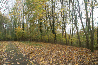 Foto 176 uit Herfst In Beverwaard