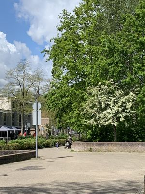 Foto 267 uit StratenBEVERWAARD