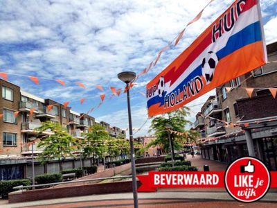 Foto 101 uit OranjeInBeverwaard