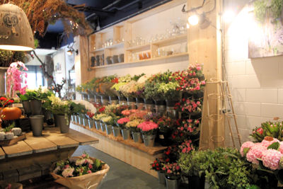 Foto 98 uit De Bloemenboetiek