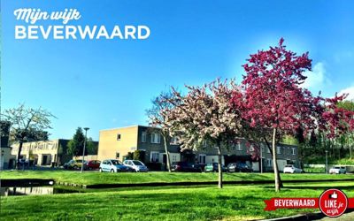 Foto 35 uit LIKEJEWIJK-2016