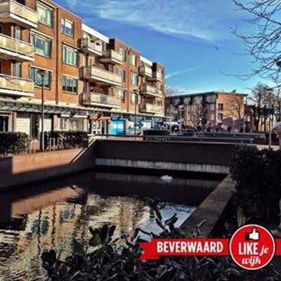 Foto 388 uit LIKEJEWIJK FOTO'S_2