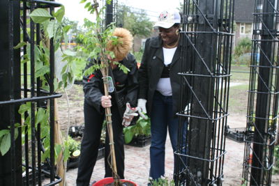 Foto 23 uit Tropische Buurttuin