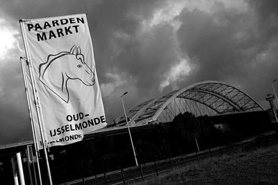 Foto 97 uit Paardenmarkt29-6