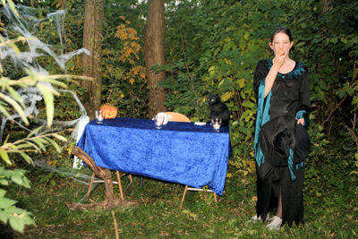 Foto 215 uit halloweenbeverwaard