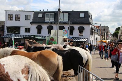 Foto 124 uit Paardenmarkt29-6